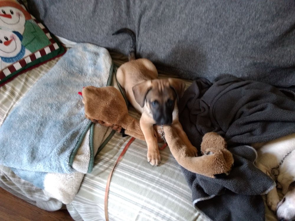 DEER PARK VETERINARY HOSPITAL 4380 E Galbraith Rd, Cincinnati, OH Yelp