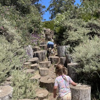 Bay Area Discovery Museum - Garden adventure - Children's Museums Near Me - Sausalito, California