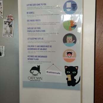 Cat Town - rules - Animal Shelters Near Me - Oakland, California Cat Town - rules - Animal Shelters Near Me - Oakland, California