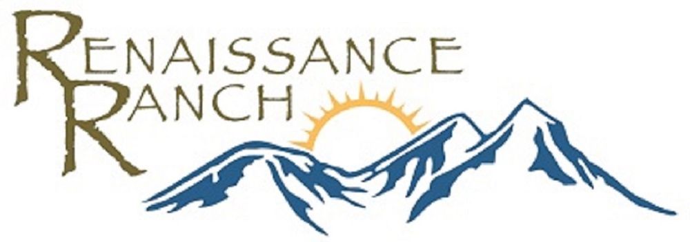 Renaissance Ranch Orem Outpatient Men's - grief counselor in Orem, UT