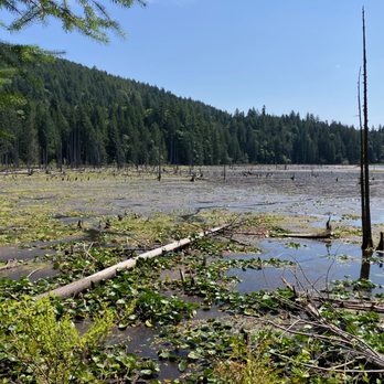 Killarney Lake - July 22, 2025. - Hiking Near Me Killarney Lake - July 22, 2025. - Hiking Near Me