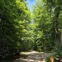 Photo of Volksdorfer Wald