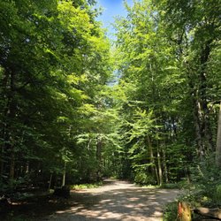 Volksdorfer Wald