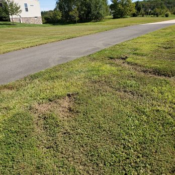 Yard Scaping Services - Gouges in front yard looking towards driveway. - Landscaping Near Me