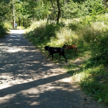 Wapato Park - Never had any bad encounters here big enough to take your dog to a different area - Parks Near Me - Tacoma, Washington Wapato Park - Never had any bad encounters here big enough to take your dog to a different area - Parks Near Me - Tacoma, Washington