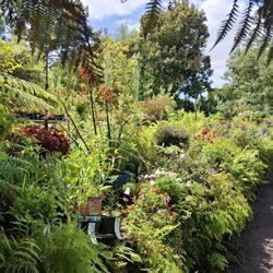 Roger's Garden Centre
