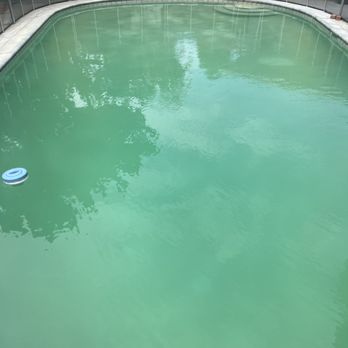 Crystal clear pool solutions - Before - Pool Cleaners Near Me Crystal clear pool solutions - Before - Pool Cleaners Near Me