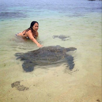 Laniakea Beach - 06/20/13: Apparently you're not supposed to touch the turtle but listen I'm a rebel. :p - Beaches Near Me - Haleiwa, Hawaii Laniakea Beach - 06/20/13: Apparently you're not supposed to touch the turtle but listen I'm a rebel. :p - Beaches Near Me - Haleiwa, Hawaii