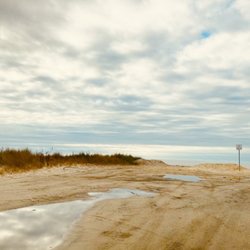 Cook's Beach - Cooks Beach