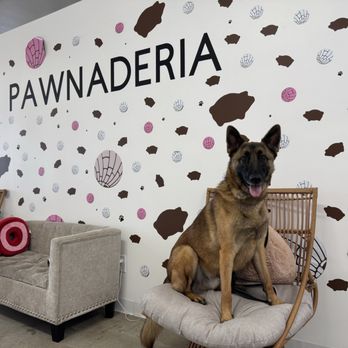 La Pawnaderia - Pet Stores Near Me - Downey, California