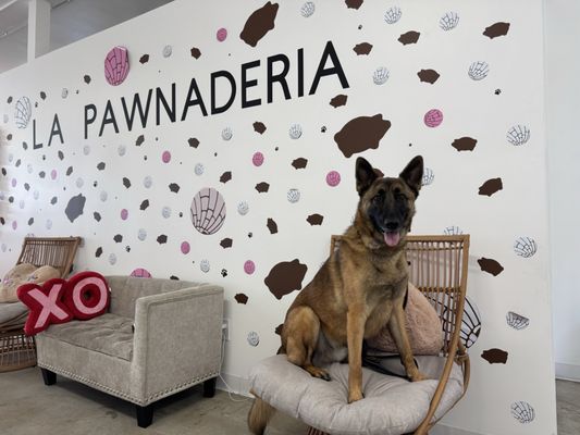 La Pawnaderia by null