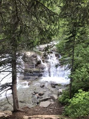 Waterton Lakes National Park of Canada by null