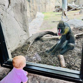 Phoenix Zoo - Zoos Near Me - Phoenix, Arizona