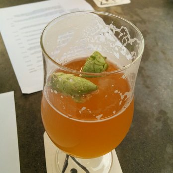 Holy Mountain Brewing - Kiln & Cone w/ Fresh Citra Hops. - Breweries Near Me - Seattle, Washington Holy Mountain Brewing - Kiln & Cone w/ Fresh Citra Hops. - Breweries Near Me - Seattle, Washington