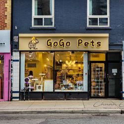 GoGo Pets - Storefront