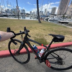 Rental bike