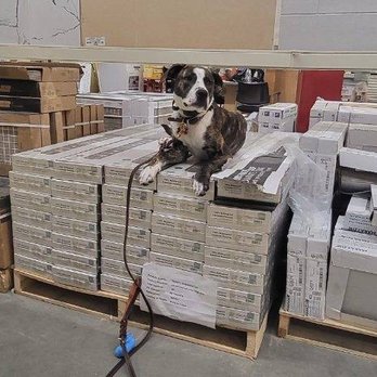 Atlanta Dog Wizard - Pet Training Near Me