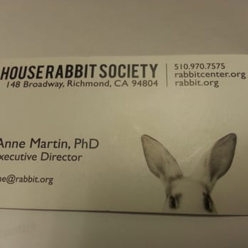 House Rabbit Society - Pet Stores Near Me - Richmond, California