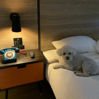 Motel 6 - Hotels Near Me - Santa Barbara, California Motel 6 - Hotels Near Me - Santa Barbara, California