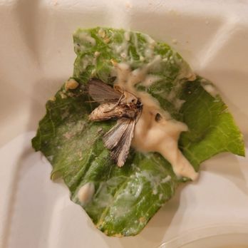 Post Office Cafe - A MOTH IN MY STREE CORN SALAD! - American Near Me - Babylon, New York