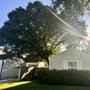Blake Downing’s Tree Service