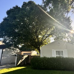 Blake Downing’s Tree Service
