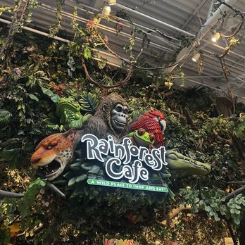 Rainforest Cafe - Entrance - American Near Me - Ontario, California Rainforest Cafe - Entrance - American Near Me - Ontario, California