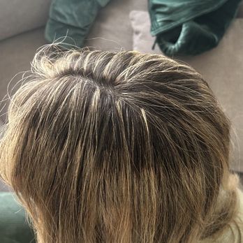 The Lexington Salon and Spa - Painfully terrible highlights / zero blending  Banding / wrecked hair - Day Spas Near Me - Anchorage, Alaska