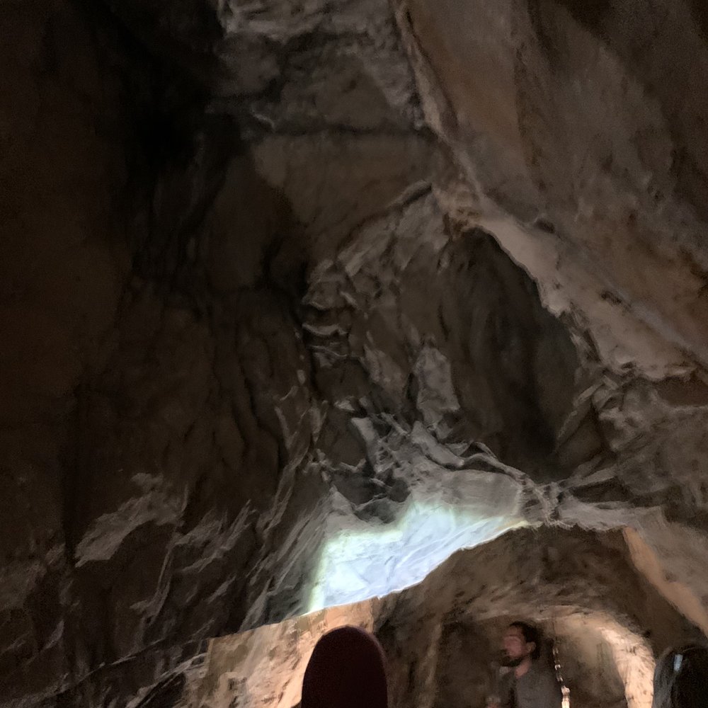 Melrose Caverns - Venues & Event Spaces Near Me - Harrisonburg, Virginia Melrose Caverns - Venues & Event Spaces Near Me - Harrisonburg, Virginia