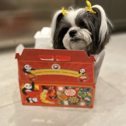 Panda in the box Panda in the box