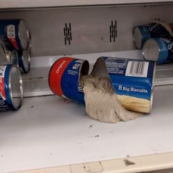 Trout's Market - A recent photo a friend took of biscuit shelf.. doesn't look very healthy to me!