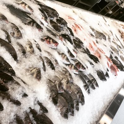 Conrad's Crabs and Seafood Market- Bel Air, MD by null