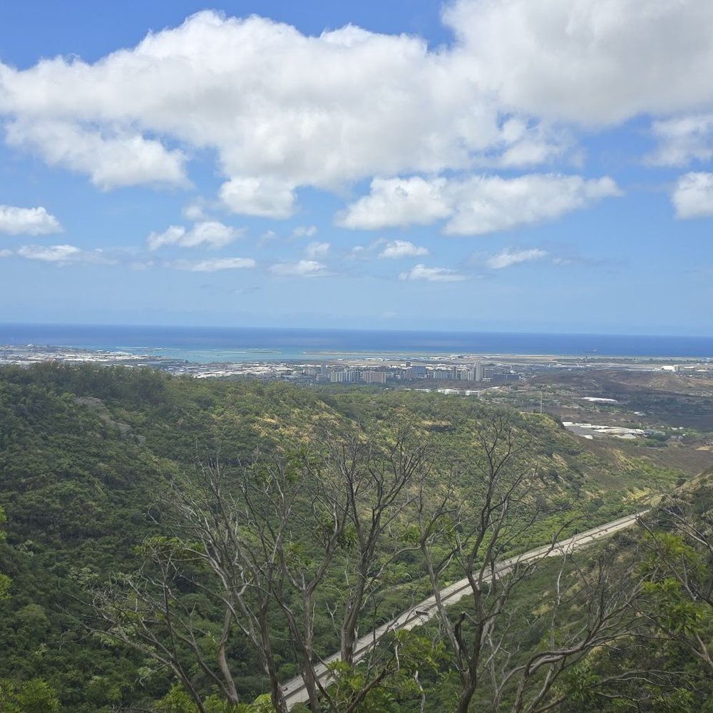 Aiea Loop Trail - Hiking Near Me - Aiea, Hawaii