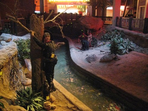 Buffalo Bill's Resort & Casino by null