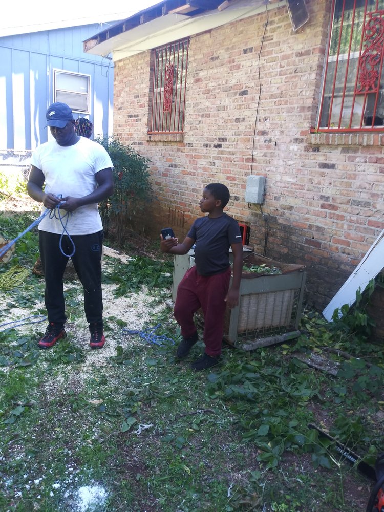 John Tree Lawn Service - tree service in Birmingham, AL