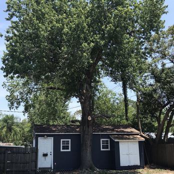 Karney Tree Service - Tree Services Near Me - Winter Garden, Florida Karney Tree Service - Tree Services Near Me - Winter Garden, Florida