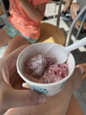 Marble Slab Creamery by null