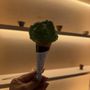 Matsu Matcha Little Tokyo