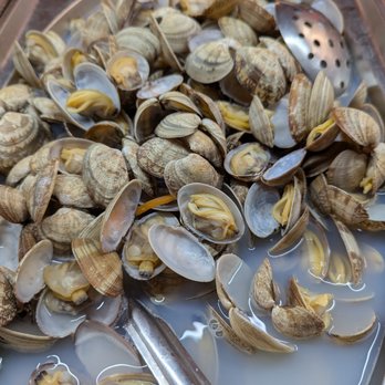 Amherst Buffet - My all-time favorite: Manila clams. I think that's what they're called. - Chinese Near Me - Amherst, New York