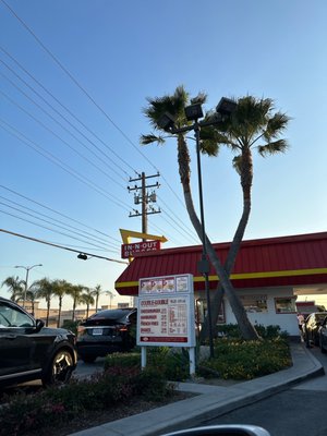 In-N-Out Burger by null