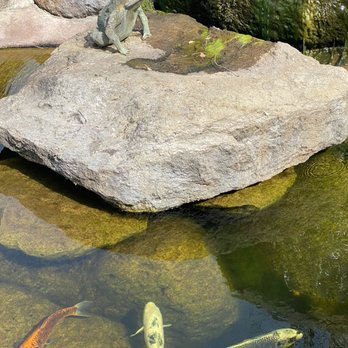 Peju Winery - View Of Koi Pond - Wine Tasting Room Near Me - Rutherford, California Peju Winery - View Of Koi Pond - Wine Tasting Room Near Me - Rutherford, California
