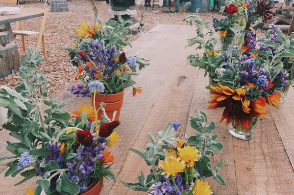 Saddlerock Gardens by null