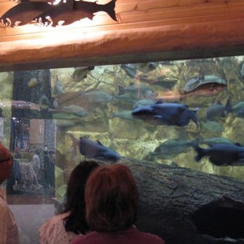 Bass Pro Shop - Outdoor Gear Near Me - Glendale, Arizona