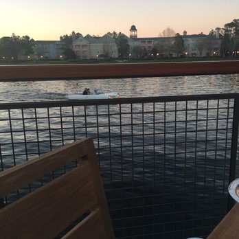 Paddlefish - Seafood Near Me - Orlando, Florida Paddlefish - Seafood Near Me - Orlando, Florida