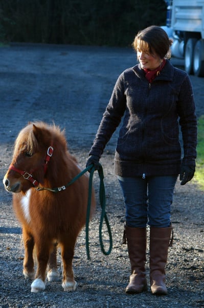 Legacy Equine Leadership Development Logo