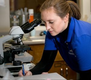Genesee Valley Equine Clinic