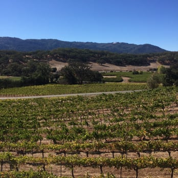 Stacy's Wine Tours - Wine Tours Near Me Stacy's Wine Tours - Wine Tours Near Me