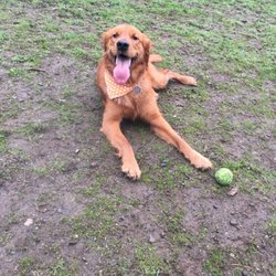 Emma and her ball