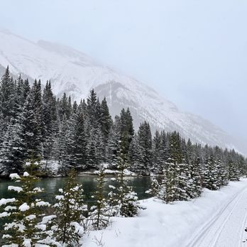Snowy Owl Sled Dog Tours - Tours Near Me - Canmore, Alberta Snowy Owl Sled Dog Tours - Tours Near Me - Canmore, Alberta