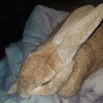 Pet Supplies Plus Lodi - My picky eater, Jack. - Pet Stores Near Me - Lodi, California Pet Supplies Plus Lodi - My picky eater, Jack. - Pet Stores Near Me - Lodi, California